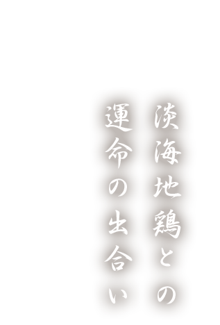 淡海地鶏との運命の出合い